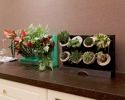 カラフルな植木鉢は私の植物たちを毎日休暇しているような気分にさせます