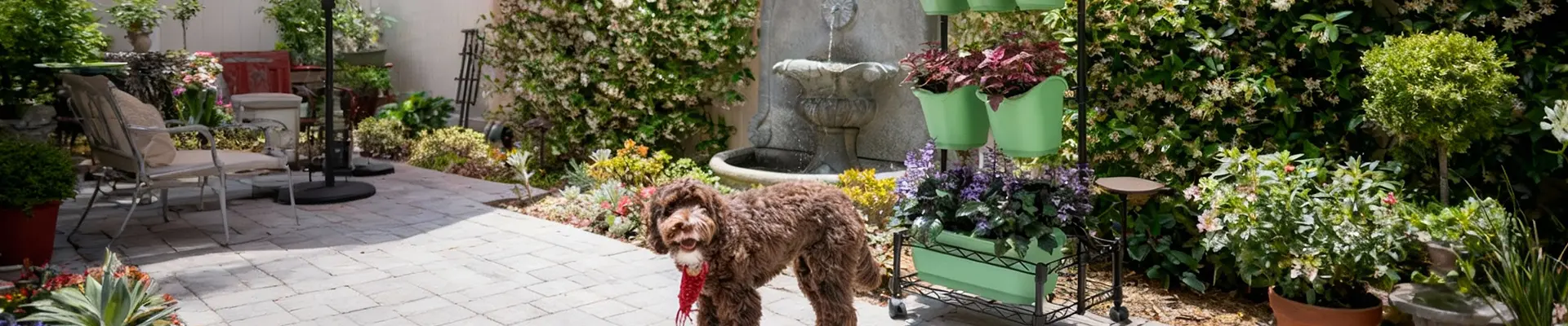 グリーンリビング