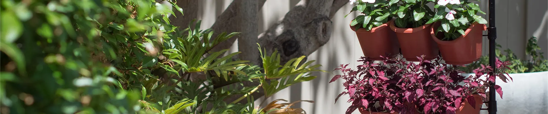 エコガーデニング バーティカルガーデン