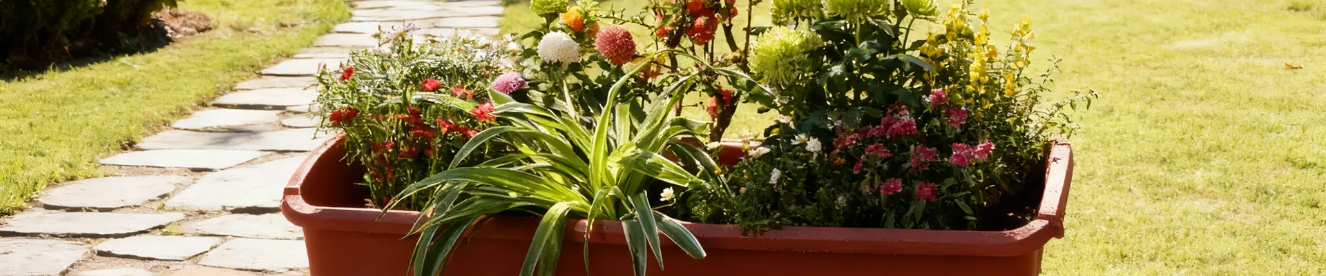 プランターボックス