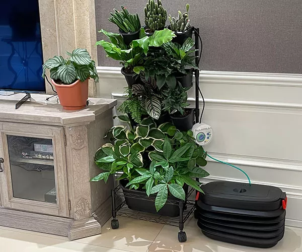 リビングルーム