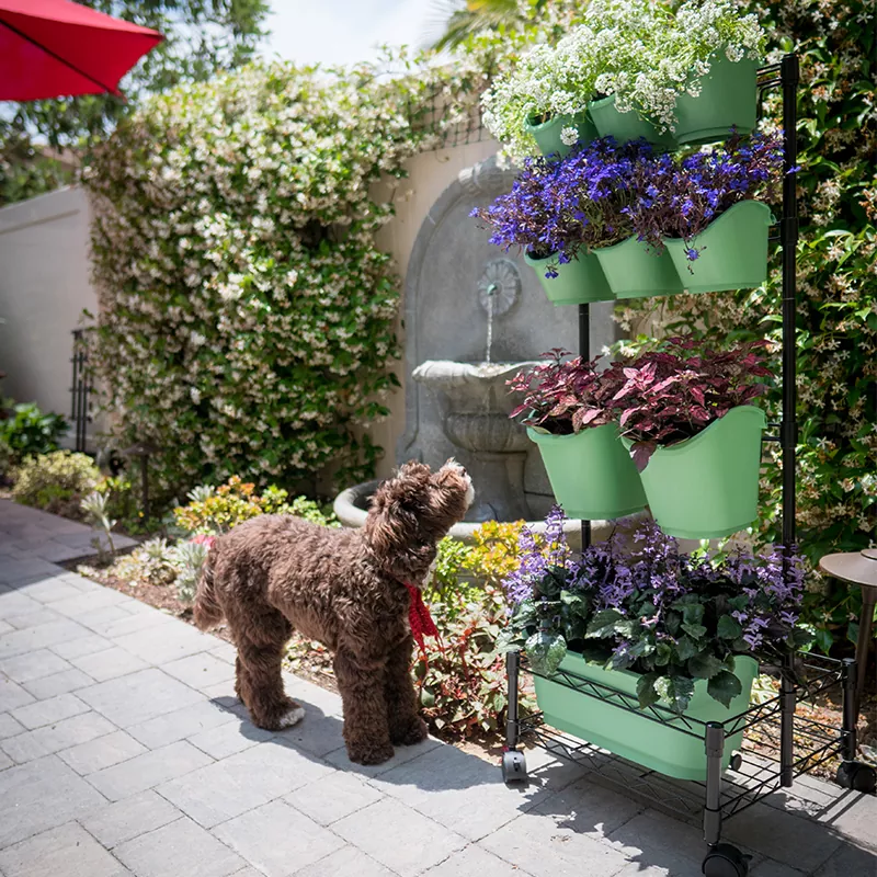 金属モバイルグリーンウォールダブルフレーム