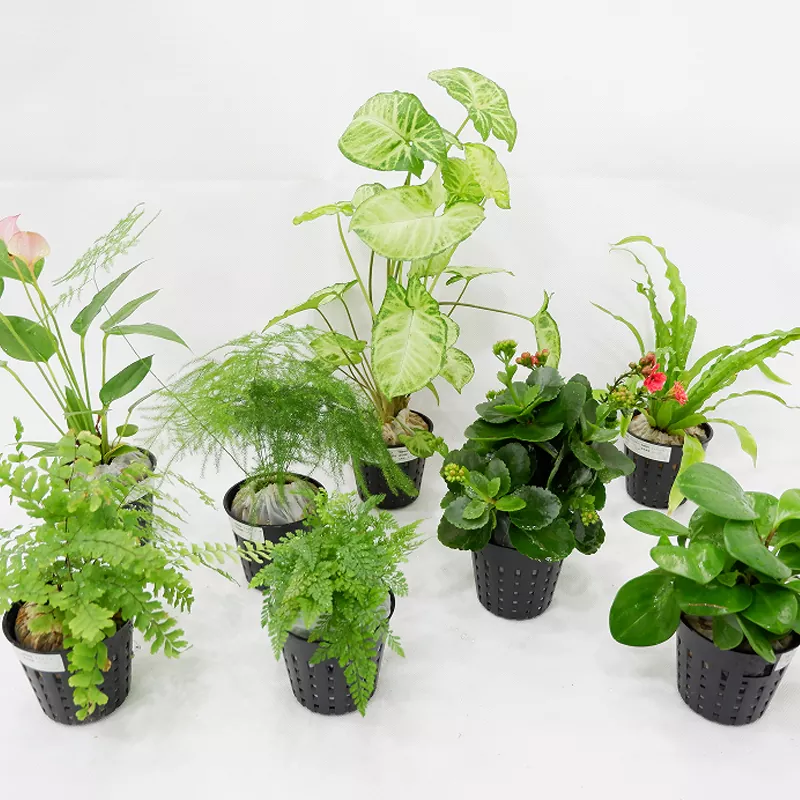 PP素材 3インチインナープランター